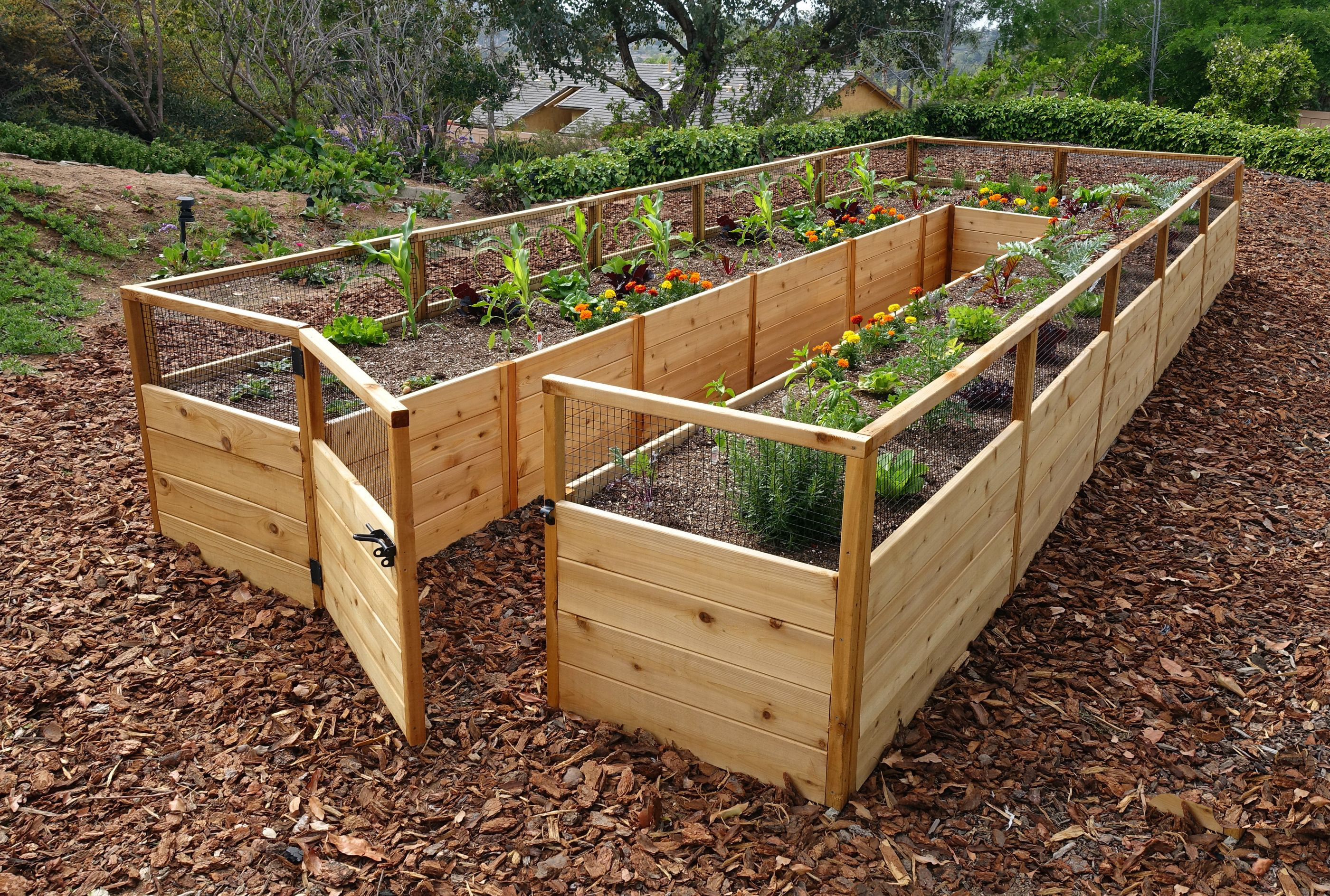 Outdoor Living Today 8 ft. W x 16 ft. D Cedar Garden in a Box Wayfair